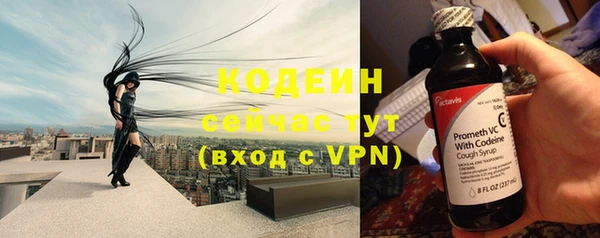 стафф Вяземский