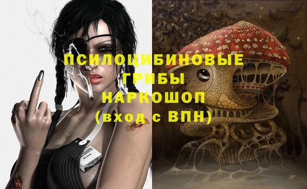 PSILOCYBIN Горняк