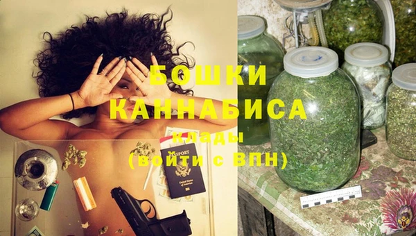 стафф Вяземский