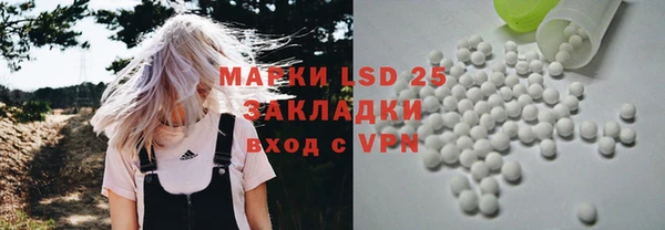 стафф Вяземский