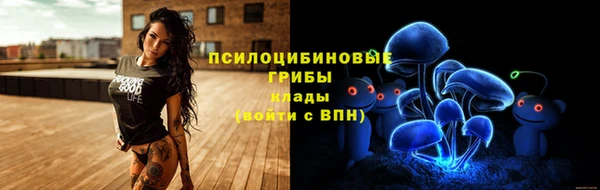 PSILOCYBIN Горняк