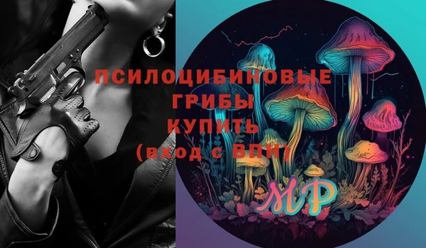 apvp Горно-Алтайск