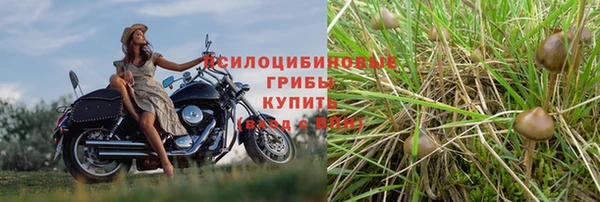 каннабис Горнозаводск