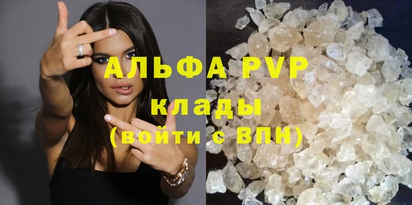 стафф Вяземский